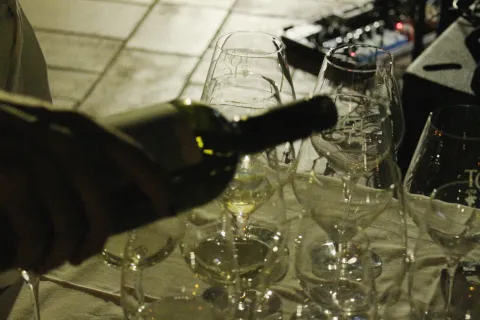 Winestesia Revisited